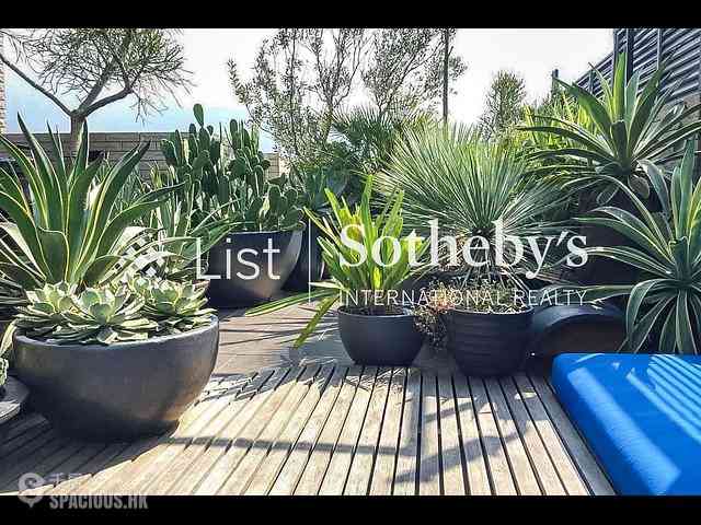 Lam Tsuen Country Park - Ha Che 02