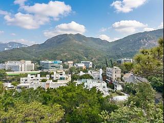 Shouson Hill - Orchid Hill 04