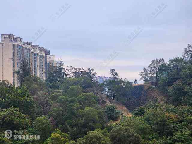 Ho Man Tin - Mantin Heights 01