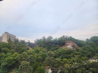 Ho Man Tin - Mantin Heights 09