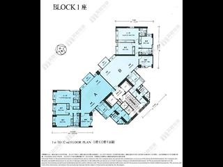 Jardines Lookout - Cavendish Heights 06