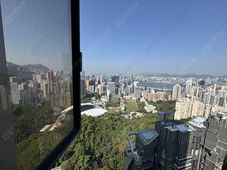 Jardines Lookout - Cavendish Heights 09