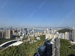 Jardines Lookout - Cavendish Heights 10
