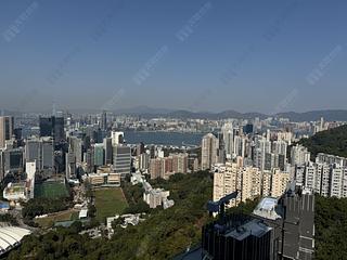 Jardines Lookout - Cavendish Heights 14