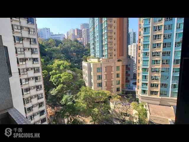 North Point - Tanner Garden 01
