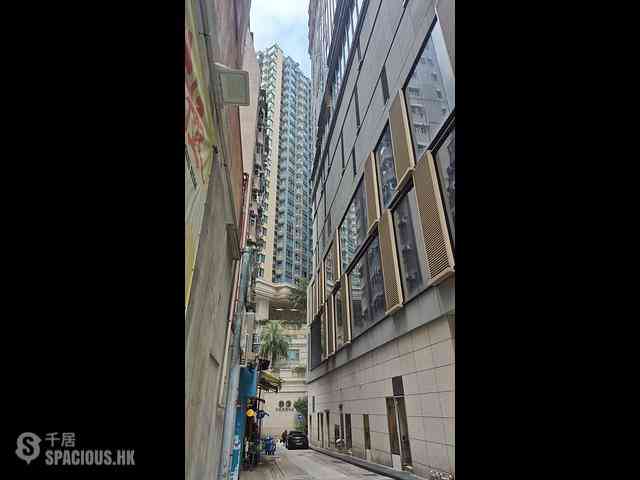 Wan Chai - Cactus Mansion 01