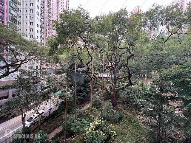 Sai Ying Pun - Hing Wah House 11