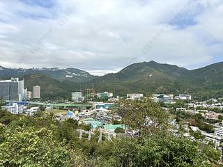 Wong Chuk Hang - Manly Villa 08