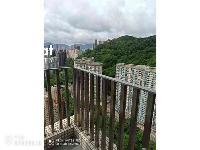 大坑 - 帝后台 08