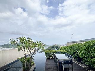 Chung Hom Kok - Scape 02