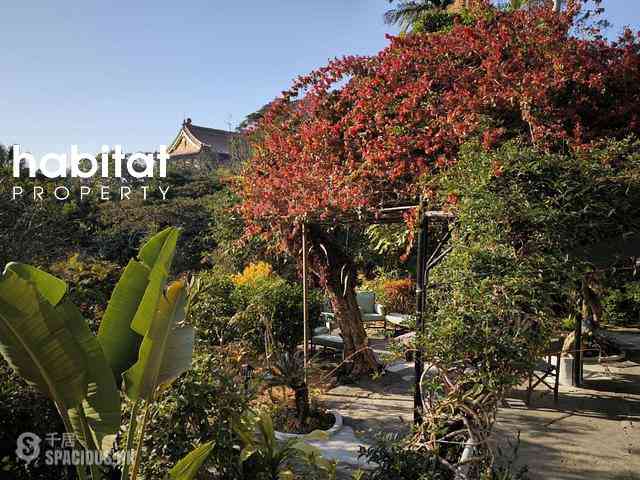 North Lantau - Ngong Ping Lot No. 193B 02