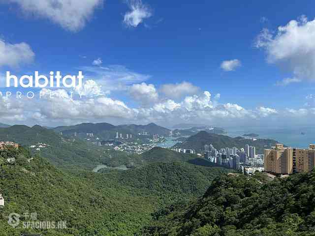 山顶 - 瑞燕大厦 19