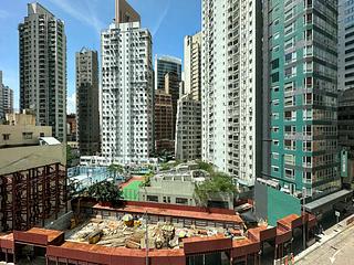 Sai Ying Pun - Macro Garden 05