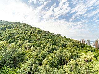 Pok Fu Lam - Greenery Garden 15