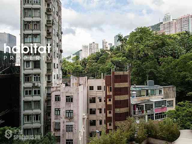 Central - Bel Mount Garden 13