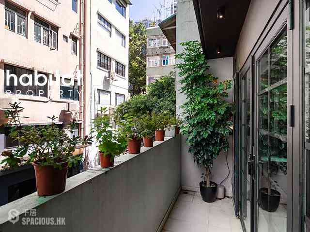 Poho - 51, Tung Street 24