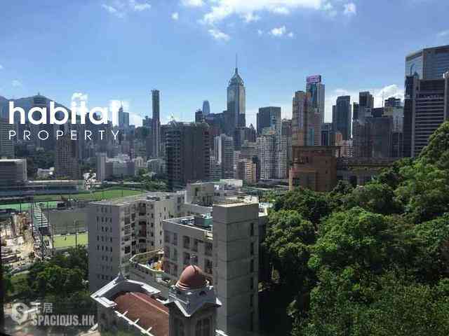 跑马地 - 乐活台 01