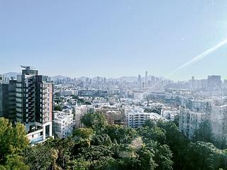Beacon Hill - Luso Apartments 02