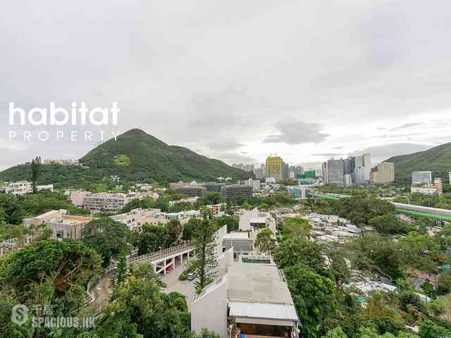 寿臣山 - Shouson Peak 09