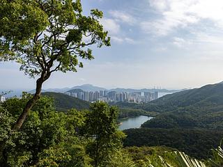 司徒拔道 - 中峡道24号 04