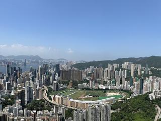 司徒拔道 - 白璧 14