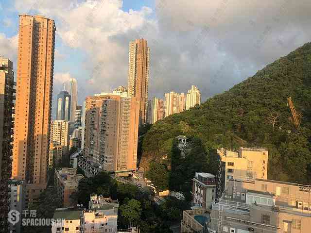 西半山 - 華庭閣 18