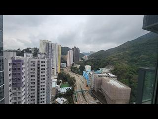 Shau Kei Wan - Lime Gala 13
