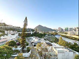 Shouson Hill - Ansaldo 04