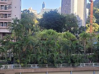 Wan Chai - 40-42, Cross Street 11