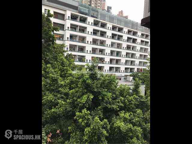 Central - 83-85, Hollywood Road 06