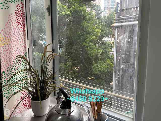Poho - 8, Tai Ping Shan Street 09
