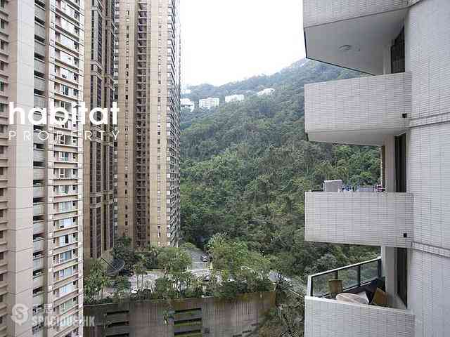 中半山 - 地利根德阁 13