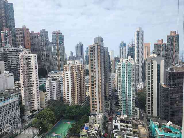 Poho - Goodview Court 03