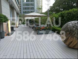 Tsim Sha Tsui - Harbour Pinnacle 10