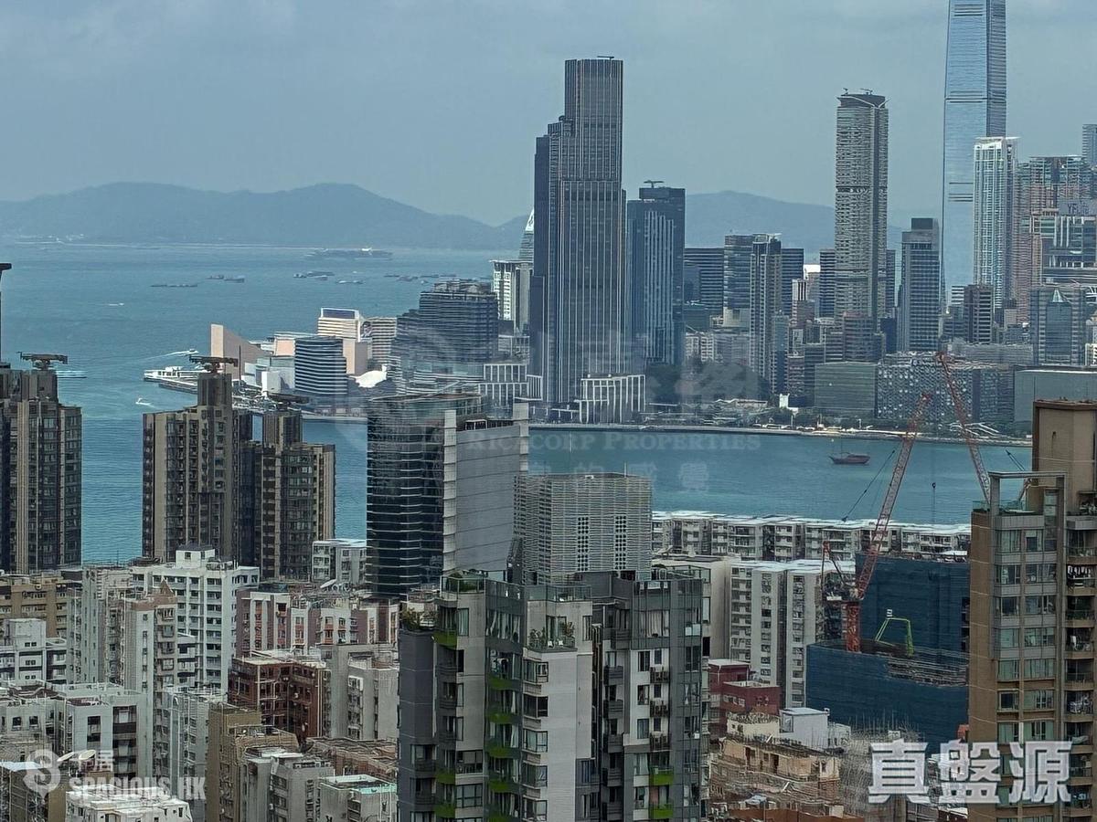 寶馬山 - 豪景 01