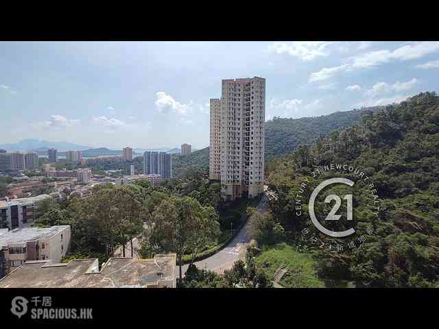 Discovery Bay - Discovery Bay Phase 2 Midvale Village Pine View (Block H1) 04