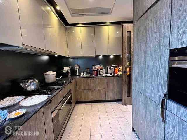Clear Water Bay - Mount Pavilia Block 11 04