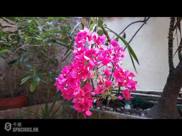 Kennedy Town - 19-21, Sands Street 14