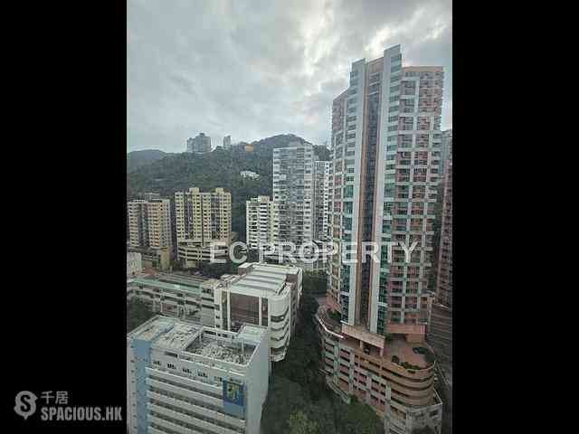 Wan Chai - 1, Star Street 01