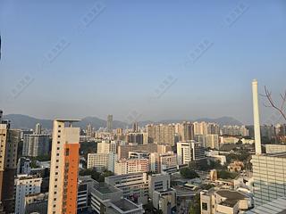 佐敦 - 德成軒 08