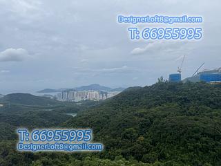 The Peak - Carolina Garden (Mansions) Block A 03