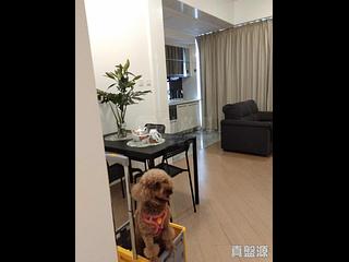West Kowloon - The Cullinan 03