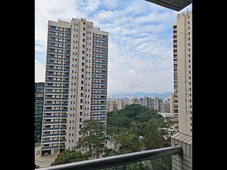 Jardines Lookout - Cavendish Heights 09
