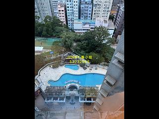 油麻地 - 爵士花园 03