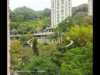 Tai Hang - Wunsha Court 05