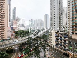 Shau Kei Wan - Lime Gala 02