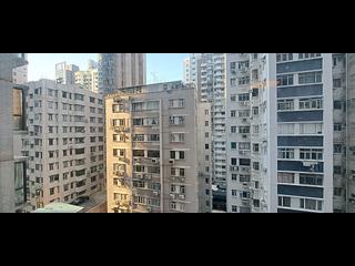 Happy Valley - Palm Court 03
