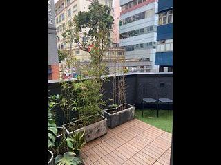 Sheung Wan - Hollywood Hill 06