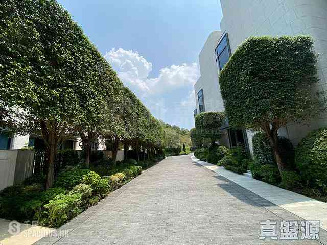 Sha Tin - La Vetta Tower 8 01