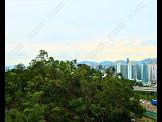 Beacon Hill - Beacon Heights 04